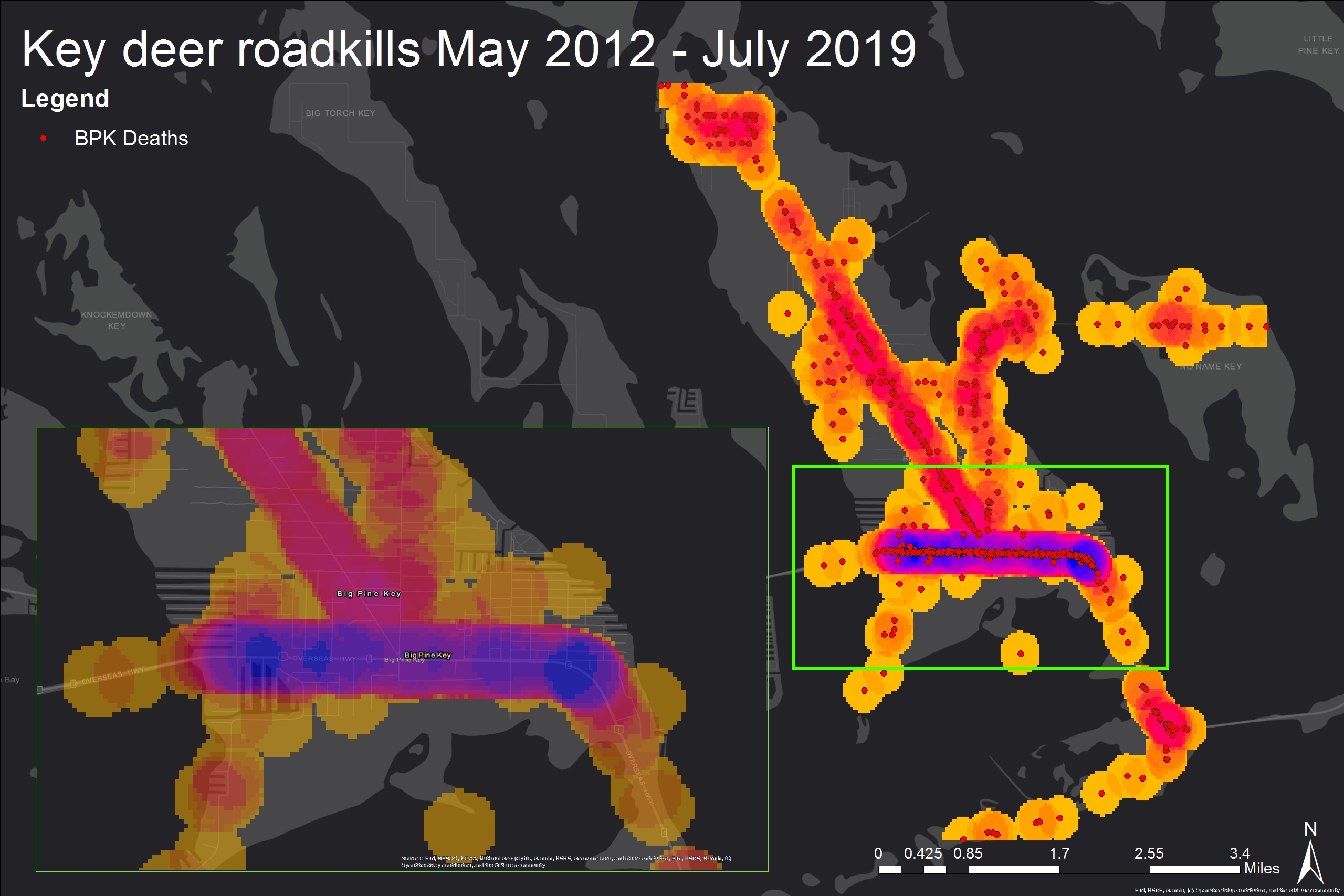 Key Deer Roadkills