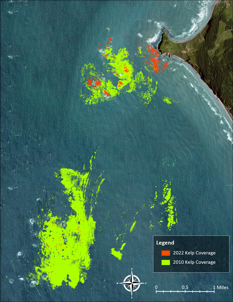 sUAS platform and multispectral camera