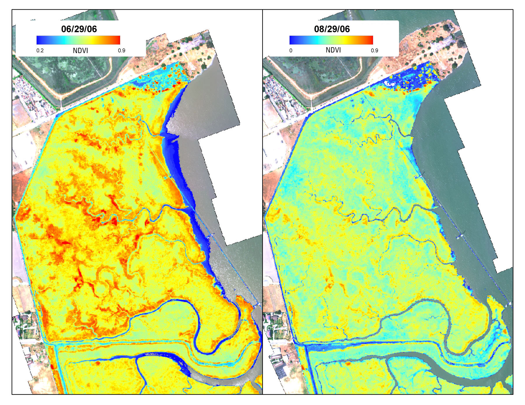 NDVI change