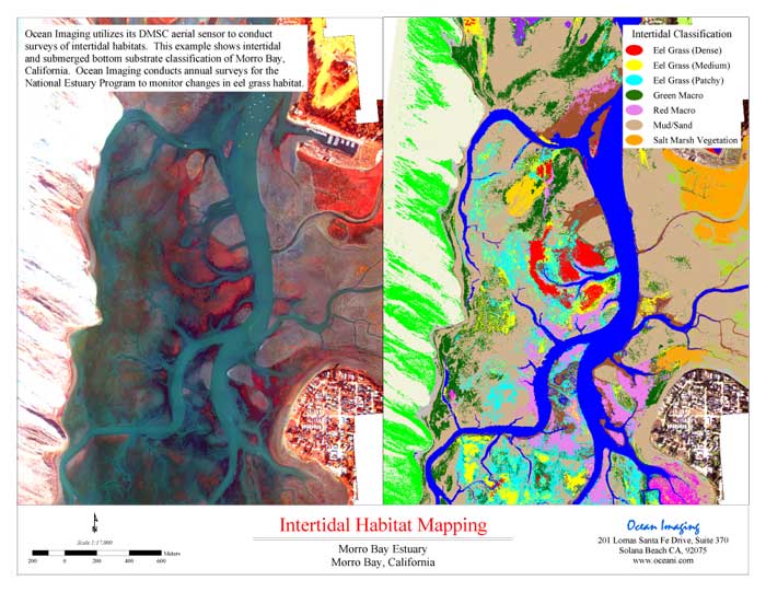 Morro Bay Intertidal Map