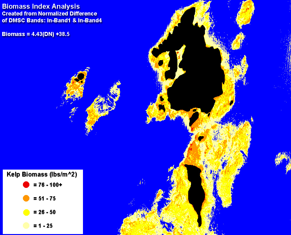 Kelp Biomass
