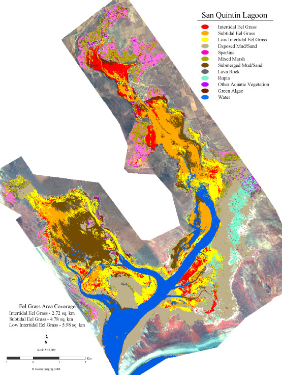 Wetland Map San Quintin, Mexico